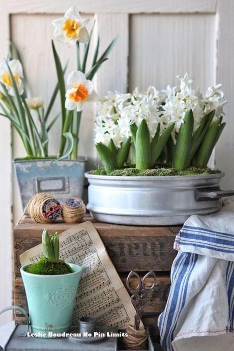 Starý notový papier 5 ks, 