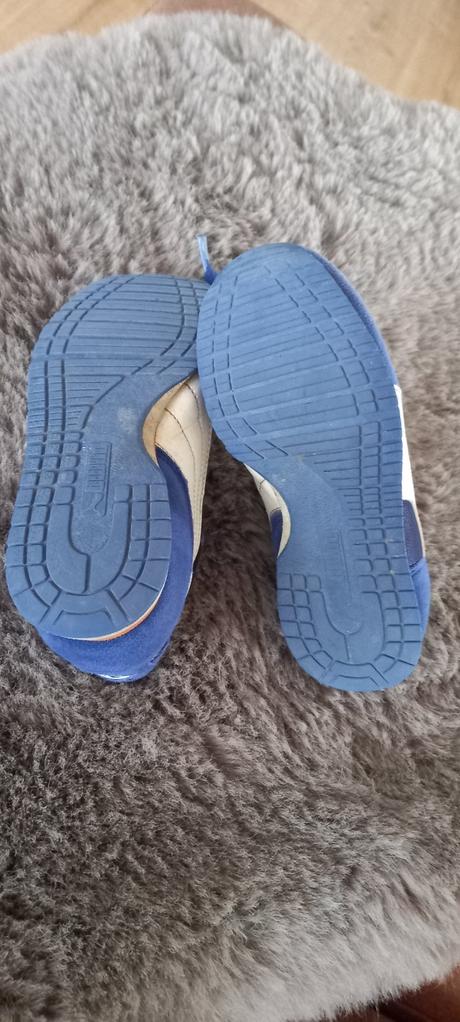 Botasky, puma,31