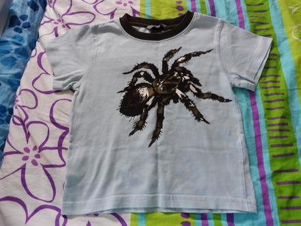 Svetlomodré tričko h&m 86 s hnedým pavúkom, h&m,86