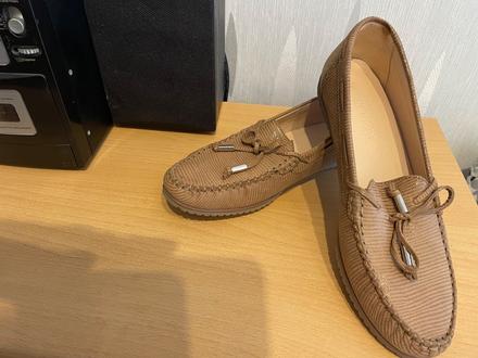 Poltopánky, lasocki,41