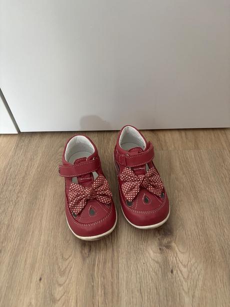 Maslickove boticky 22, lasocki,22