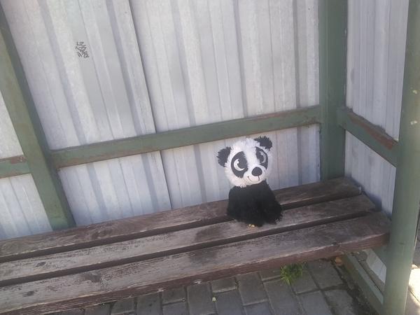 Nestratili ste plyšového psíka?