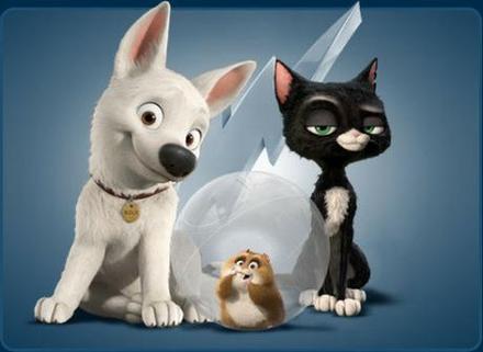 Jedly tortovy obrazok, 