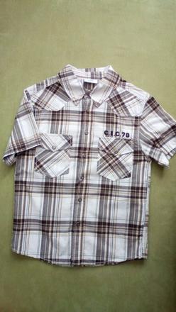 Košeľa, dognose,134