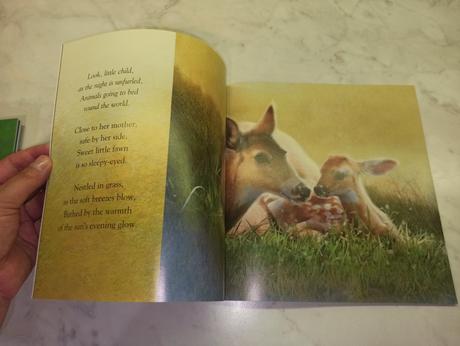 I love you sleepyhead, 