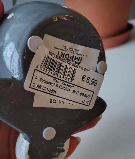 Keramicky mini kvetinac, 