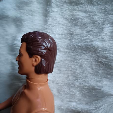 Barbie ken,