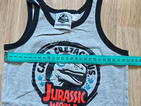 Tielko dinosaurus, 98