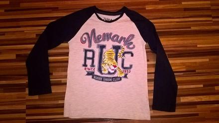 Tricko_chkt1, palomino,110