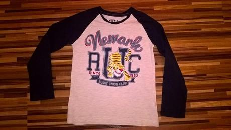 Tricko_chkt1, palomino,110