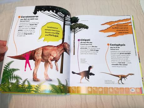 Dk dinosaur a to z nsp20,