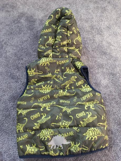 Tensia vesta, lupilu, 104, lupilu,104