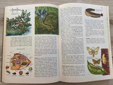 Veľká stará retro kniha od agami po žraloka,