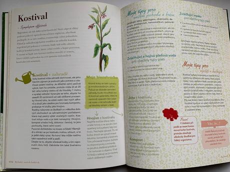 Pierrette nardo a šárka surovcová-bylinky našich b, 