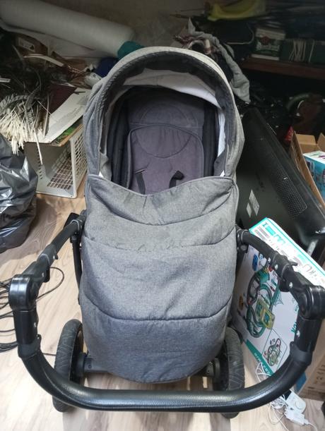 Kočik camarelo, camarelo,camarelo malaga