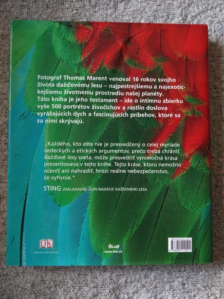 Dažďový les, 