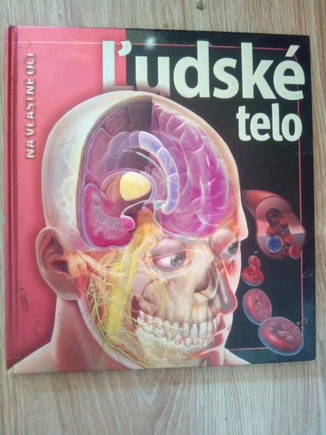 Ľudské telo, 