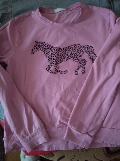 Pulover, coccodrillo,164