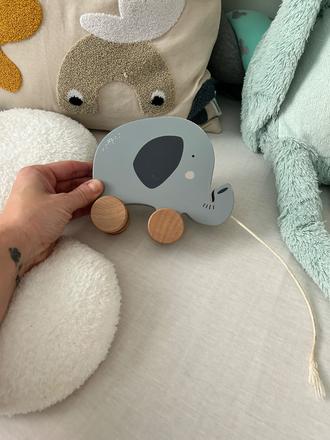 Little dutch slonik, 