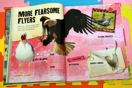 Gruesome and gross facts anglická kniha - a,