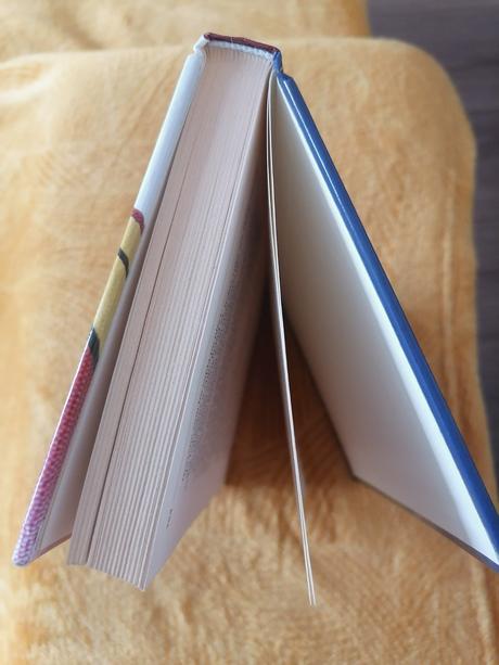 Kniha pre tínedžerky - top stav,