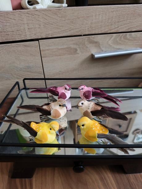 Vtáčiky na štipci, 