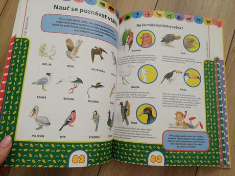 Mudra kniha pre skôlkarov a školakov, 