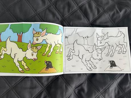 Omaľovánka mláďatká, 