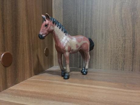 Koník a žriebätká,