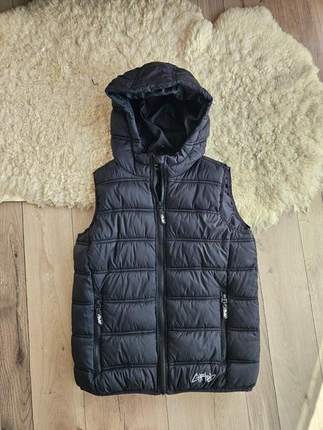 Vesta, chapter young,146