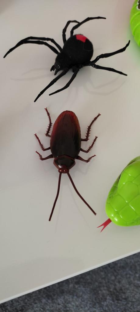 Robo dinosaurus, šváb, rainbow dash, 