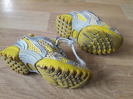 Zlto sede botasky nasuchovacky, 24