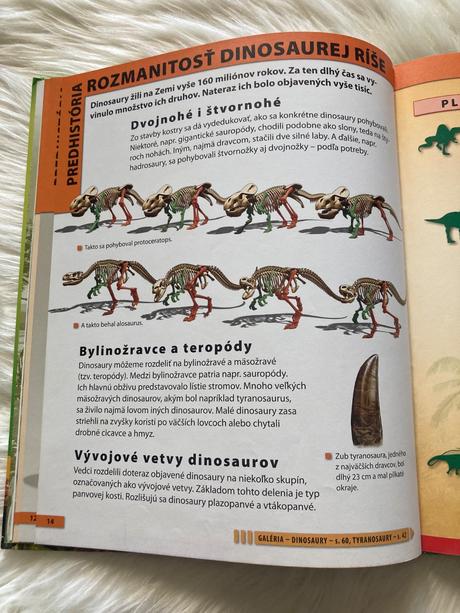 Dinosaury encyklopédia pre deti vo veku 7-10 rokov,