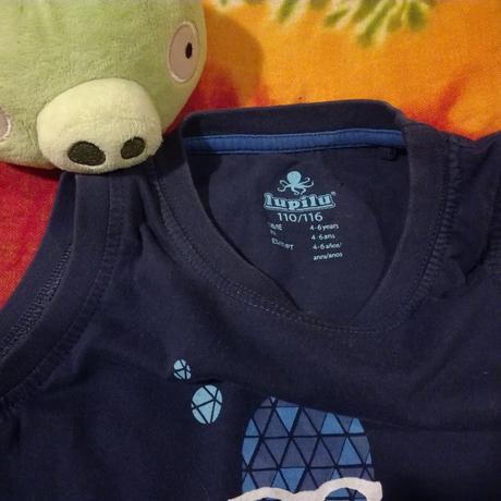 25_triko, s chobotničkou, 110/116, nosené, lupilu,110