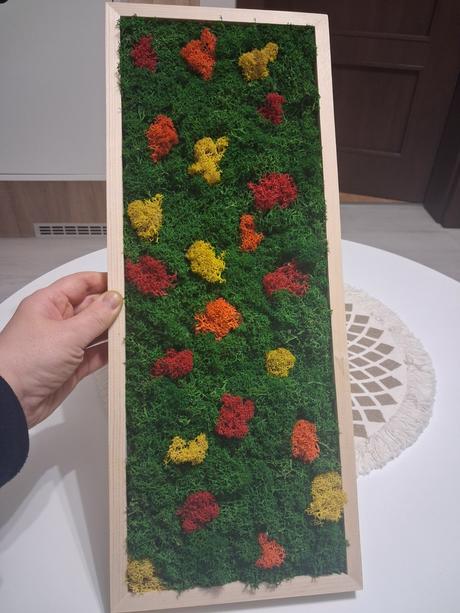 Machový obraz lúka, 