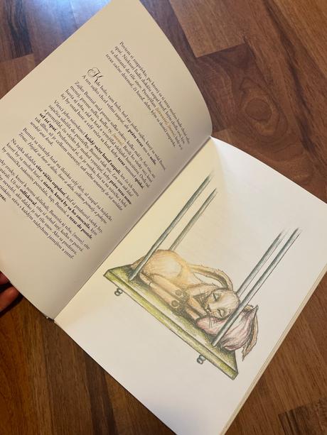 Kniha zajko ktory chce spať,