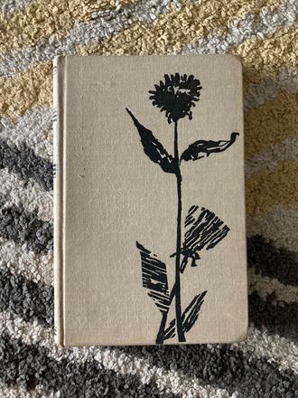 Alfonz bednár sklený vrch (1963), 