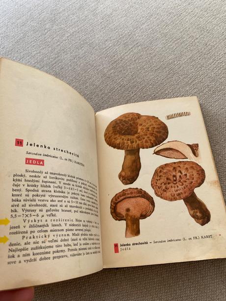 Vreckový atlas húb pilát ušák, 