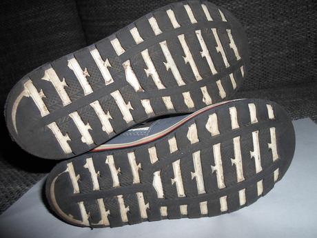 Poltopanky, lasocki,26