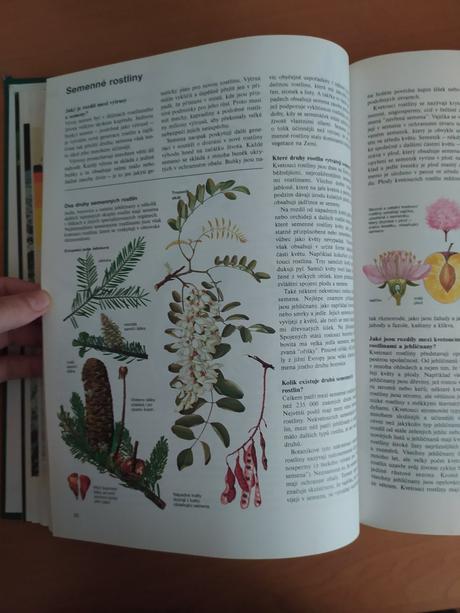 Abc prírody - svet v otázkach a odpovediach (1997), 