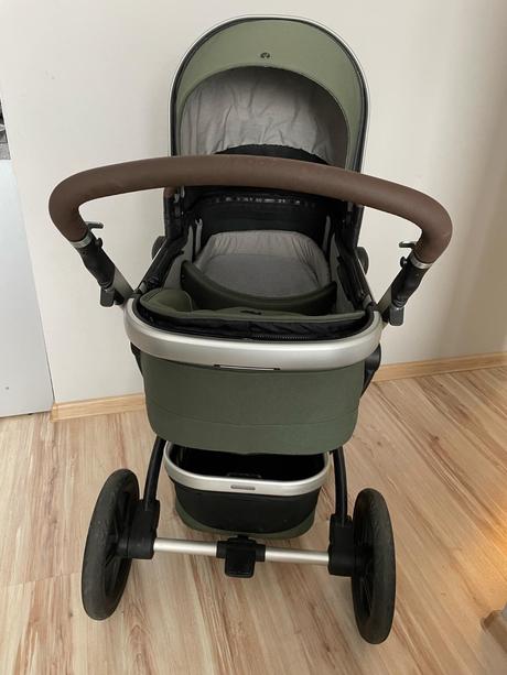 Kočik, joolz,joolz day+