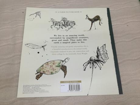 Anna wright magnificient creatures nau20, 