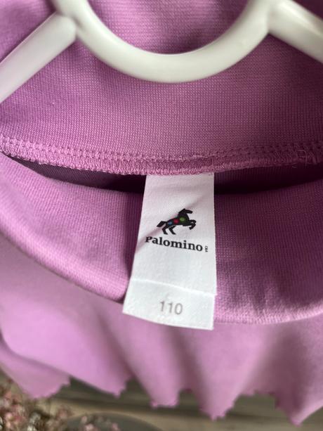 Palomino 110, palomino,110