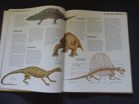 2x encyklopédia o dinosauroch - ako nové,