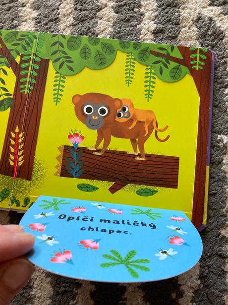 Moja milovaná opička, 