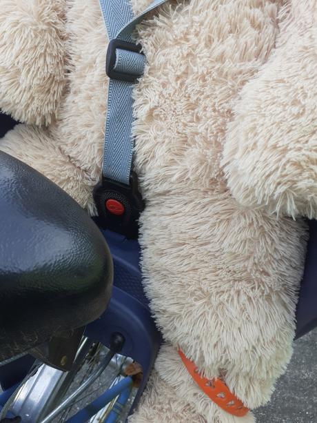 Sedačka na bicykel, 