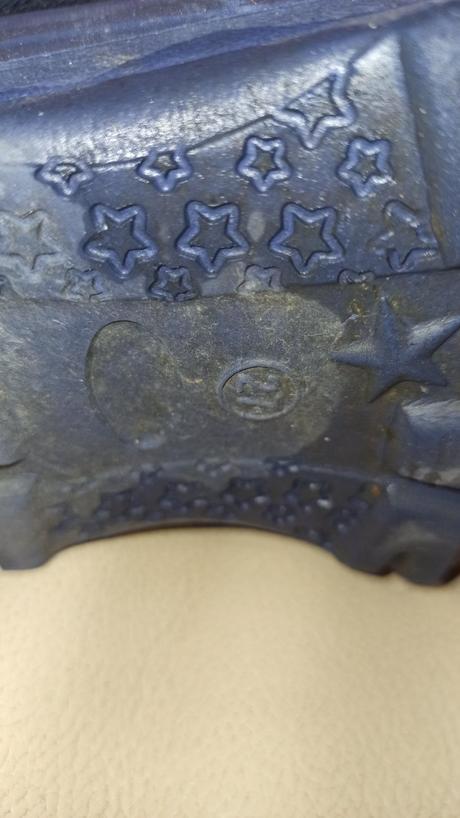 Snehule american, american eagle,27