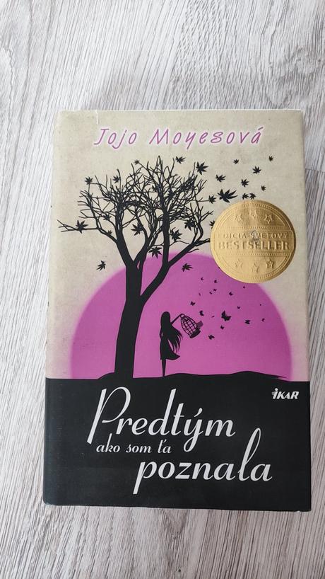 Predtým ako som ťa poznala, 