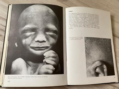 Krásna kniha čakáme dieťatko,