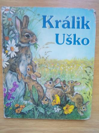 Králik uško ô, 